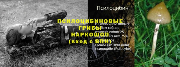 прущие крисы Зеленодольск